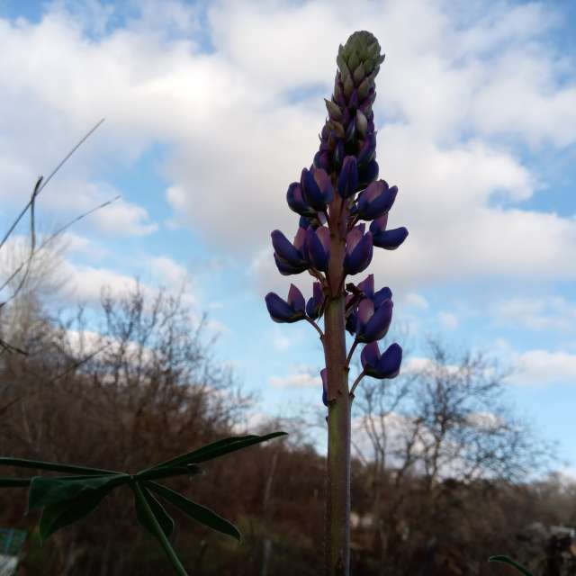 Sign. Weather forecasts with beautiful photos by mikhai Photos in Ukraine