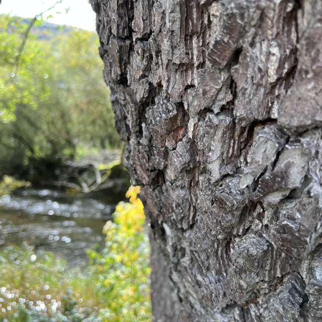Photos Marche. Prévisions météo avec de superbes photos de SwissEloi de Sonceboz