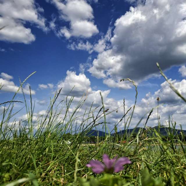 天气预报，带Aleksandar精美的照片