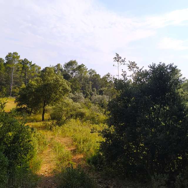 Pronósticos del tiempo con hermosas fotos de cool
