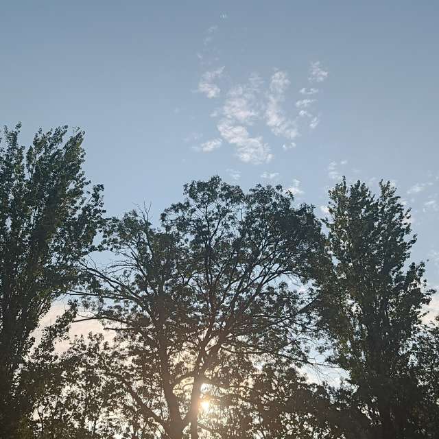 Fotos del Frente. Pronósticos del tiempo con hermosas fotos de YanBog en București