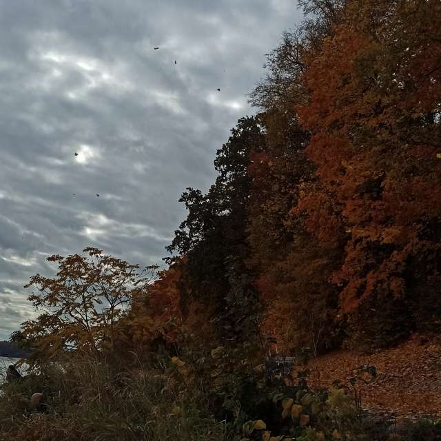 天气预报，带Helo_Sam精美的照片