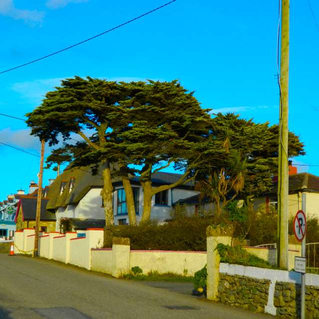 Dự báo thời tiết với những bức ảnh đẹp của DarekCho