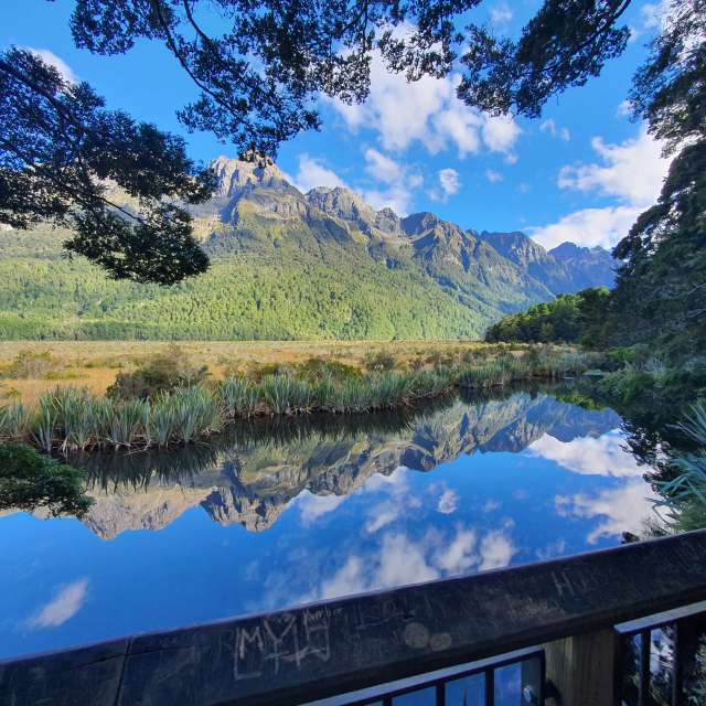 Track. Weather forecasts with beautiful photos by Pino48 Photos in New Zealand