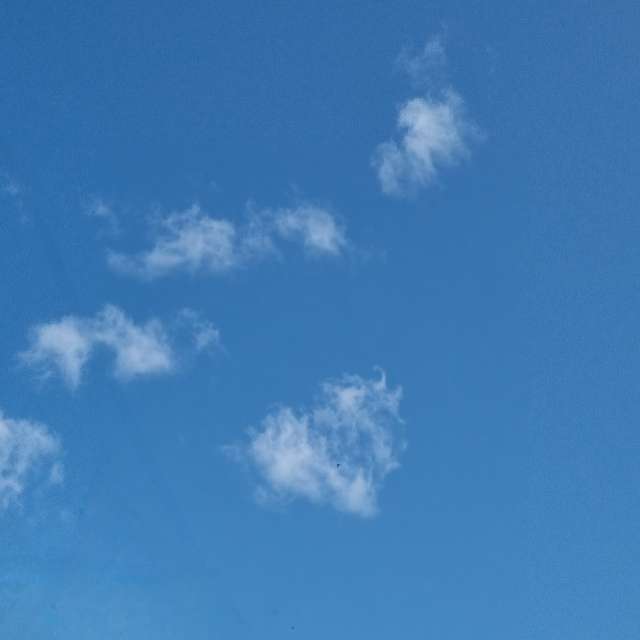 Pronósticos del tiempo con hermosas fotos de Fox_1900