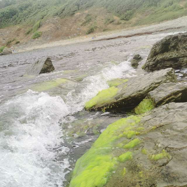 天气预报，带NikolayPaunchev精美的照片