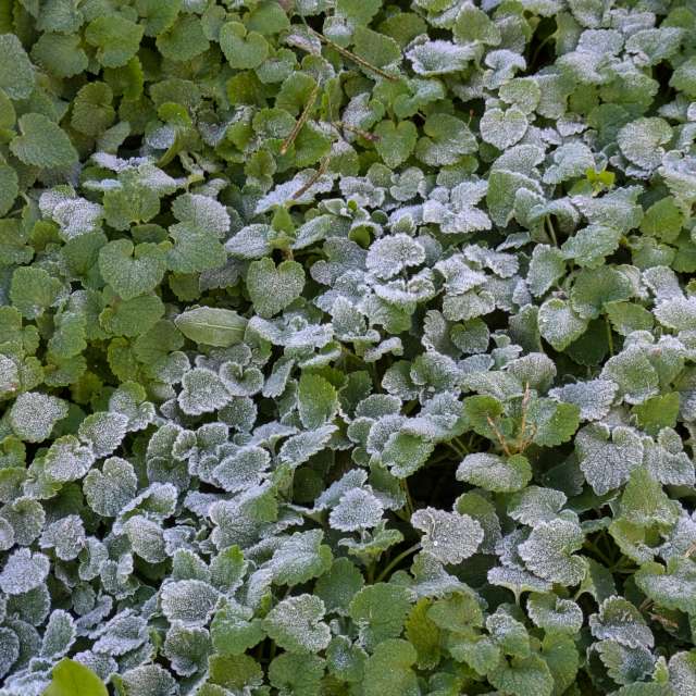 Weather forecasts with beautiful photos by jeannecozzarin