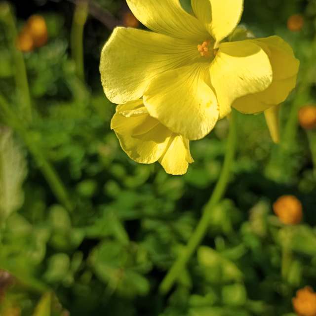 Прогнозы погоды с чудесными фотографиями, сделанными RUMBASTER