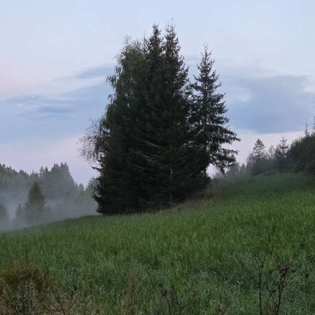 Weather forecasts with beautiful photos by Pietro Cici