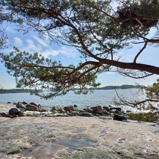 Weather forecasts with beautiful photos by Hallidad