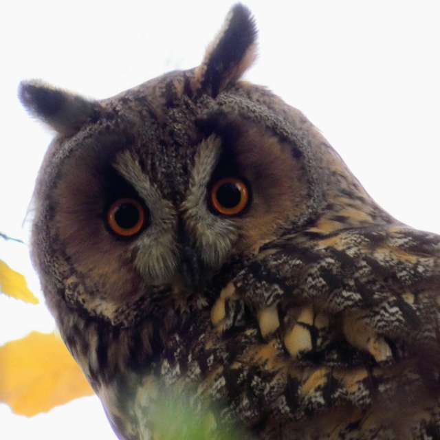 Прогнозы погоды с чудесными фотографиями, сделанными fwerner