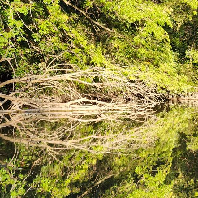 Fjwertzの美しい写真による天気予報