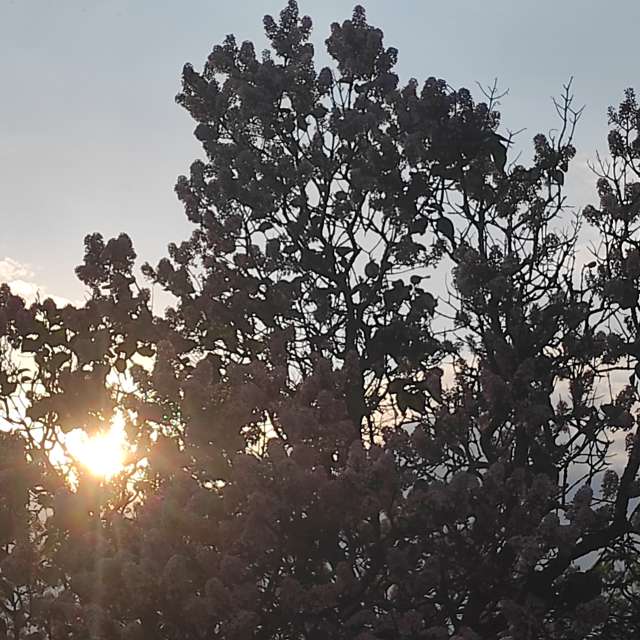 Man. Weather forecasts with beautiful photos by Федір Photos in Ukraine