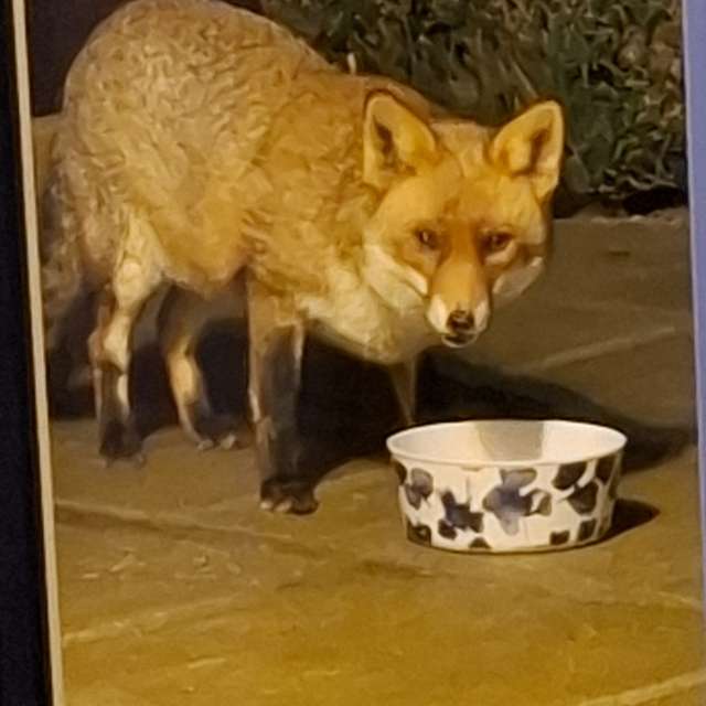 Lolliの美しい写真による天気予報