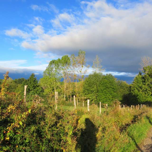 Country. Weather forecasts with beautiful photos by MariePhotos Photos in Le Mayet-de-Montagne