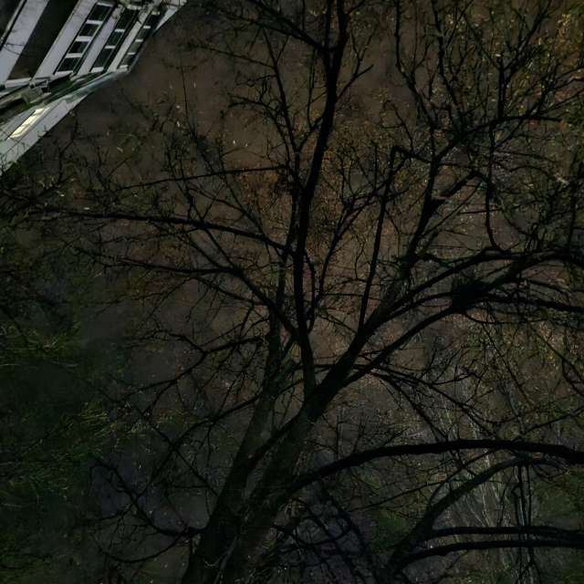 Distance. Weather forecasts with beautiful photos by Iryna Photos in Kharkiv