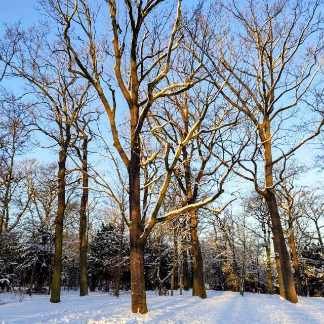 天气预报，带Gaucho精美的照片