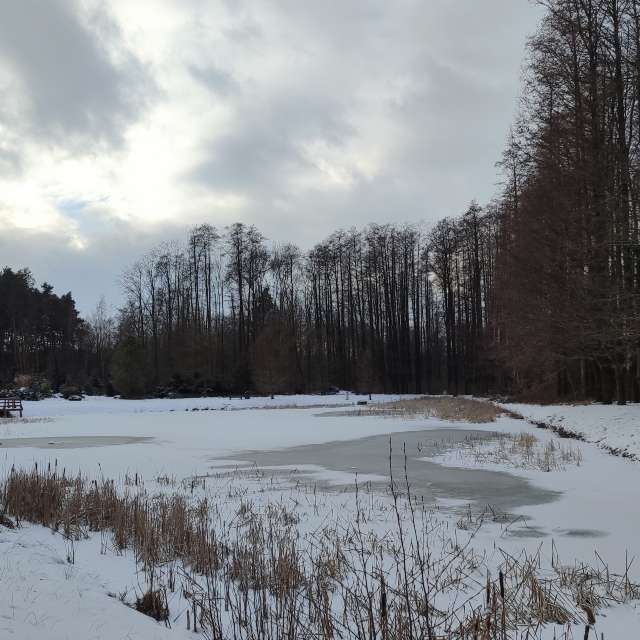 Weather forecasts with beautiful photos by Romek58