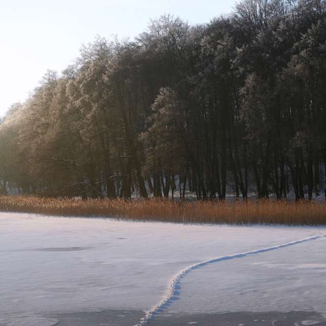 Weather forecasts with beautiful photos by T-Antonio