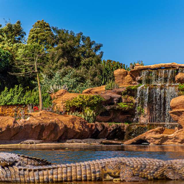 Rocky. Weather forecasts with beautiful photos by czach Photos in World