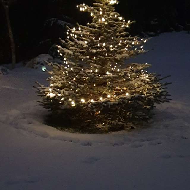 Snow. Weather forecasts with beautiful photos by Jurgita Tiškutė Babilienė Photos in Lithuania