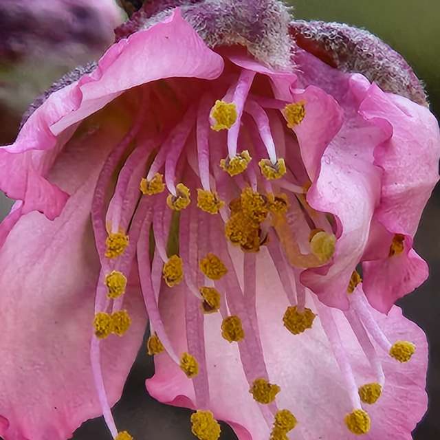 天气预报，带Rukh-08-08精美的照片