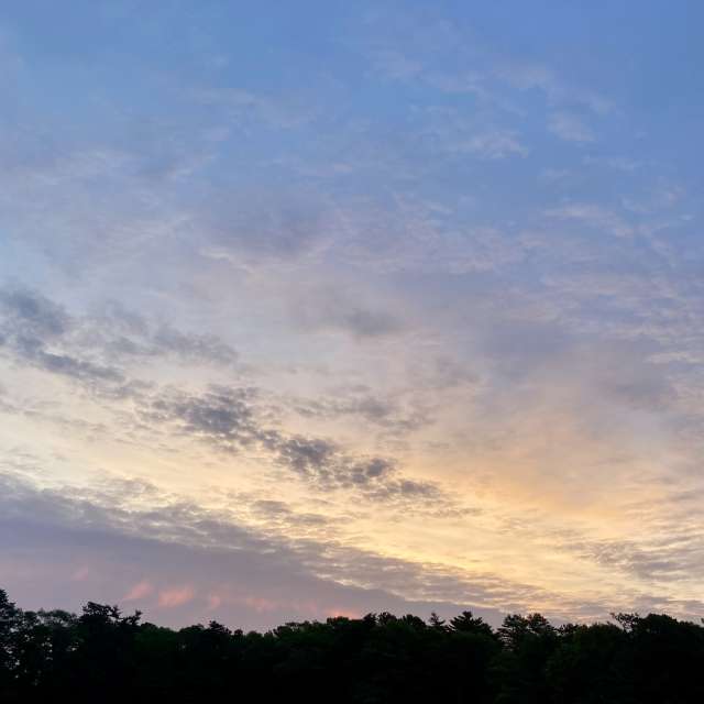 Fotos del Pasto. Pronósticos del tiempo con hermosas fotos de prairiesands en Cape Cod