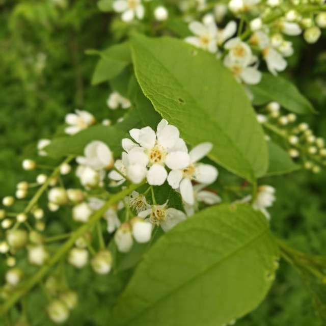 Weather Photos in World. Weather forecasts with beautiful photos by Amanda_and_Valdemar_Che