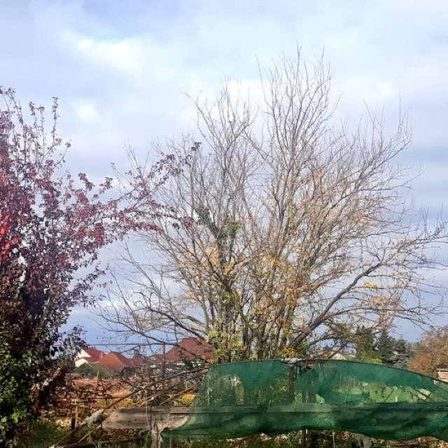 Wettervorhersagen mit schönen Fotos von Balint