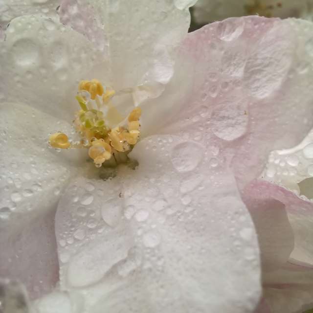 Weather forecasts with beautiful photos by Hikey