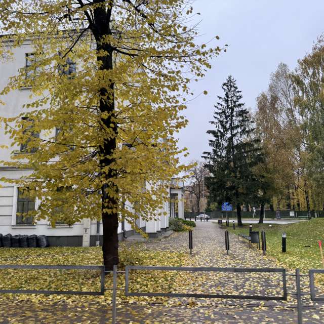 Country. Weather forecasts with beautiful photos by Svet-Lana Photos in Rīga