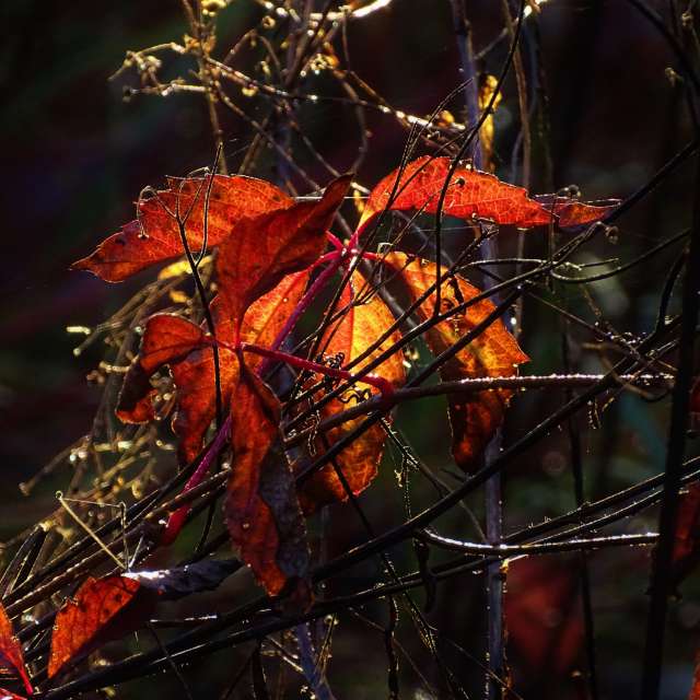 Front. Weather forecasts with beautiful photos by Михаил Гавриков Photos in Kharkiv