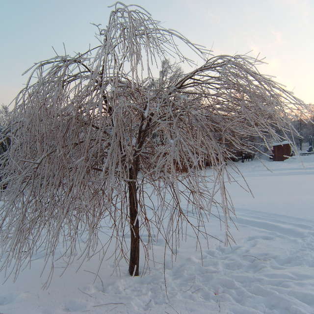 Weather. Weather forecasts with beautiful photos by Vch Photos in Moscow