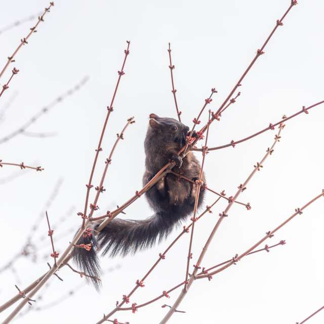 Spring. Weather forecasts with beautiful photos by vish_fx Photos in World