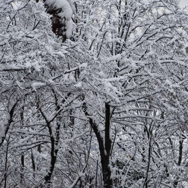 Pronósticos del tiempo con hermosas fotos de Fabri