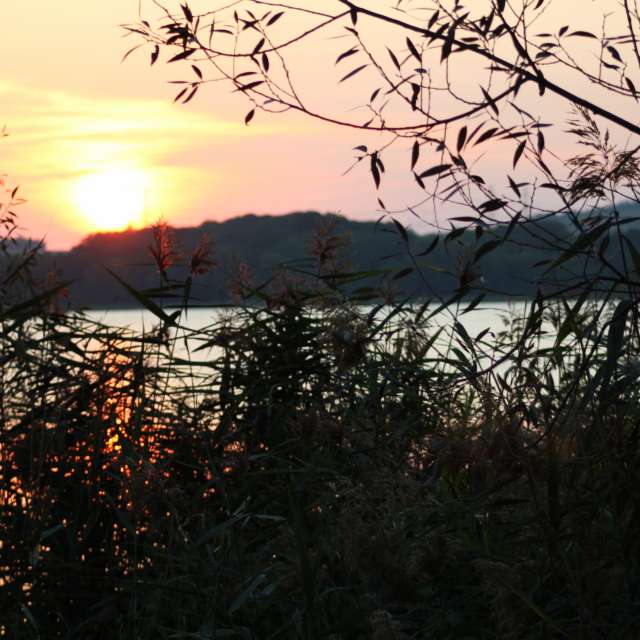 天气预报，带ivan-ko精美的照片