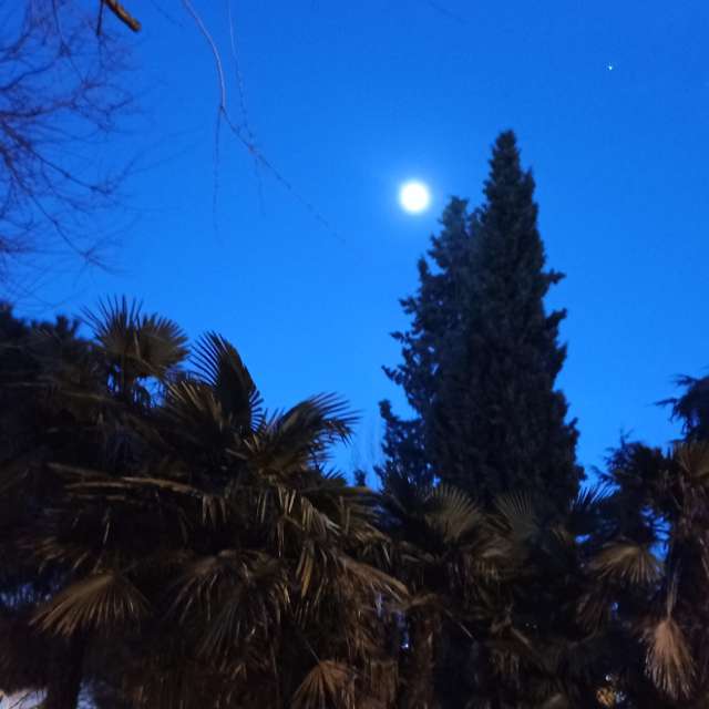 Weather forecasts with beautiful photos by Tadeo_Vzla