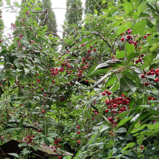 Pronósticos del tiempo con hermosas fotos de Maryous