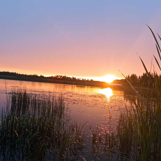 Overlooking. Weather forecasts with beautiful photos by Valiukas Photos in Lithuania