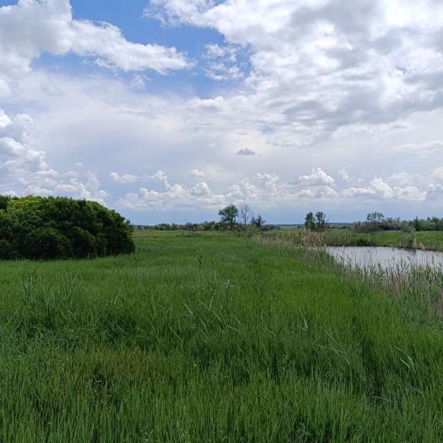 Cloudy. Weather forecasts with beautiful photos by darluniau Photos in Ukraine