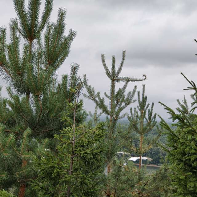 Prévisions météo avec de superbes photos de Belkka303