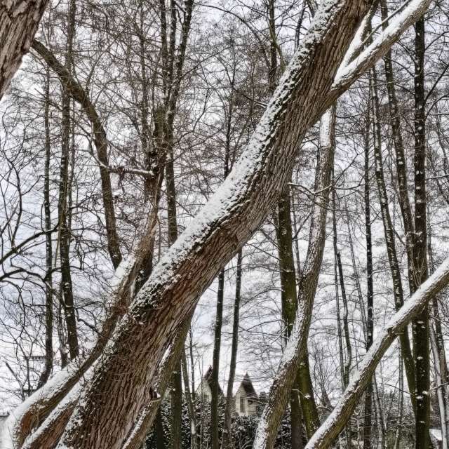 Previsões do tempo com lindas fotos de Madlen