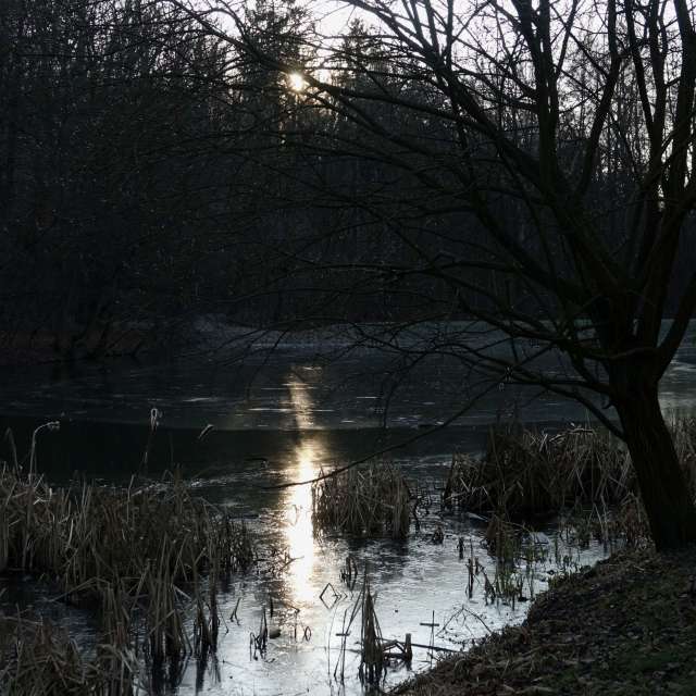 Fotos Caminho. Previsões do tempo com lindas fotos de Vasek325 em Praha 4
