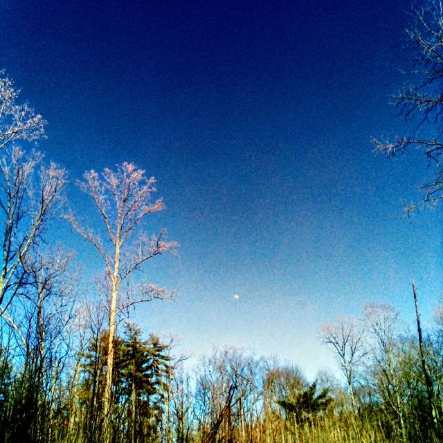 Previsões do tempo com lindas fotos de eilertannunaki