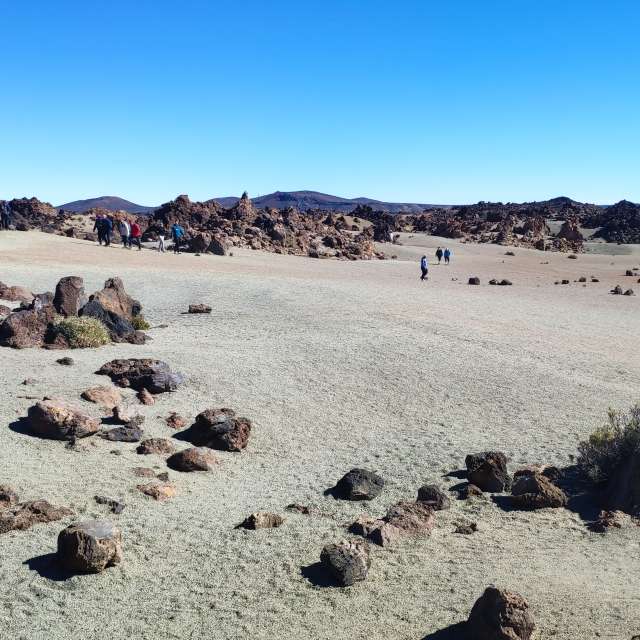 Prévisions météo avec de superbes photos de newgen