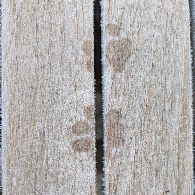 Прогнозы погоды с чудесными фотографиями, сделанными Sunshinelady62