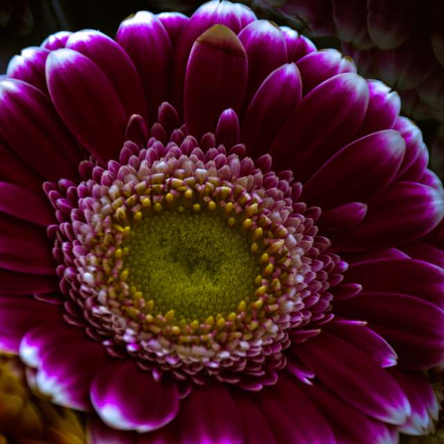 Weather forecasts with beautiful photos by 1stEyeFocused