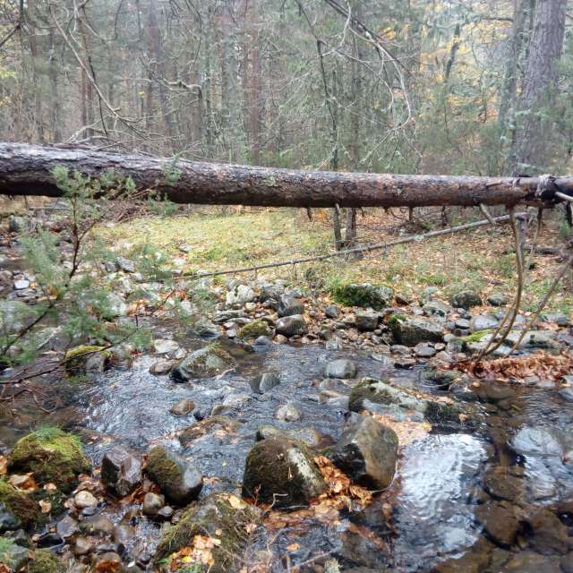 Weather forecasts with beautiful photos by MarcosCidDaly