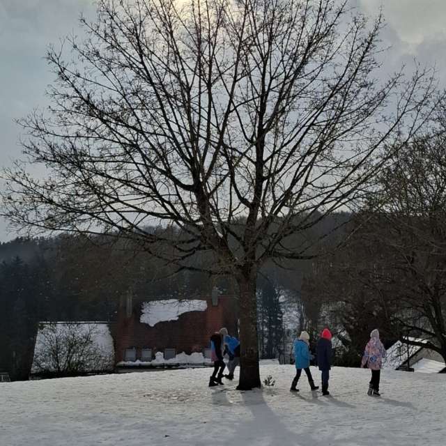 Dự báo thời tiết với những bức ảnh đẹp của Steffi316