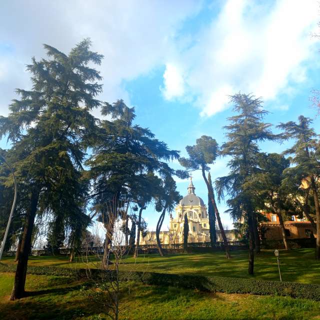 Palm. Weather forecasts with beautiful photos by AveLore Photos in Madrid